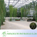 Proveedor de China Hot Sale Verde Acero Malla De Cuerda